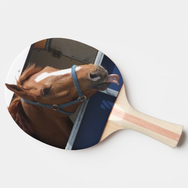 Horsing around - cheeky chestnut horse. ping pong paddle (Side)