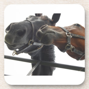 Horsing Around Coaster