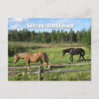 Horsing around in the Finnish Countryside