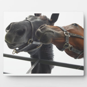 Horsing Around Plaque