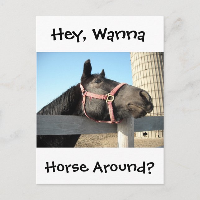 Horsing Around Postcard (Front)