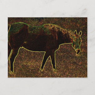 Horsing Around Postcard