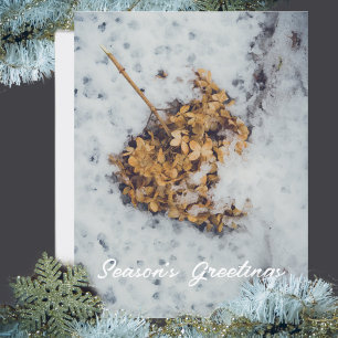 Hortensia flower on the snow holiday postcard