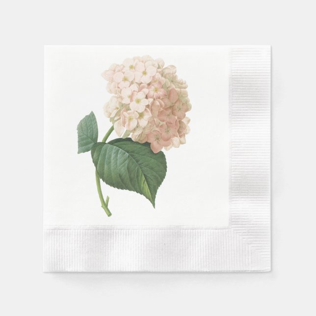 hortensia(Hydrangea sp.) by Redouté Napkin (Front)