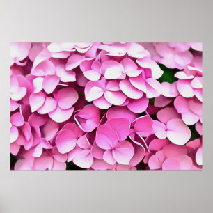 Hortensia Pink Petals Artistic Abstract Poster