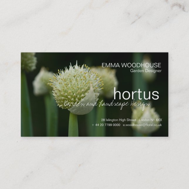 Hortus - Allium Business Card (Front)