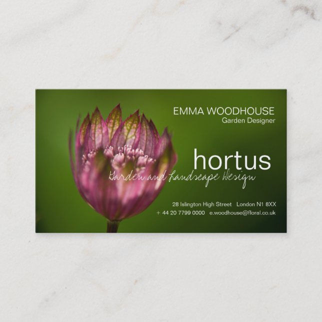 Hortus - Great Masterwort Business Card (Front)