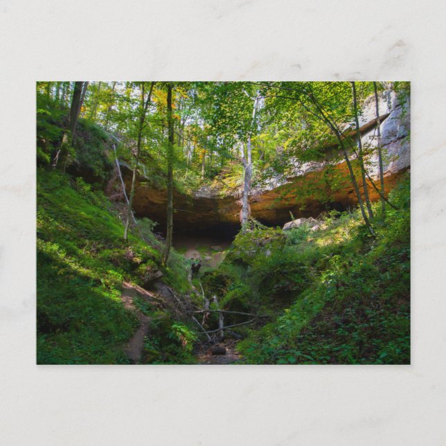 Hosak's Cave, Ohio Postcard (Front)