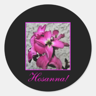 Hosanna! pink floral sticker