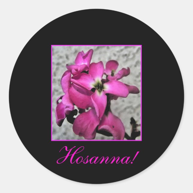 Hosanna! pink floral sticker (Front)