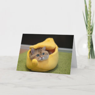 Hosico and banana card