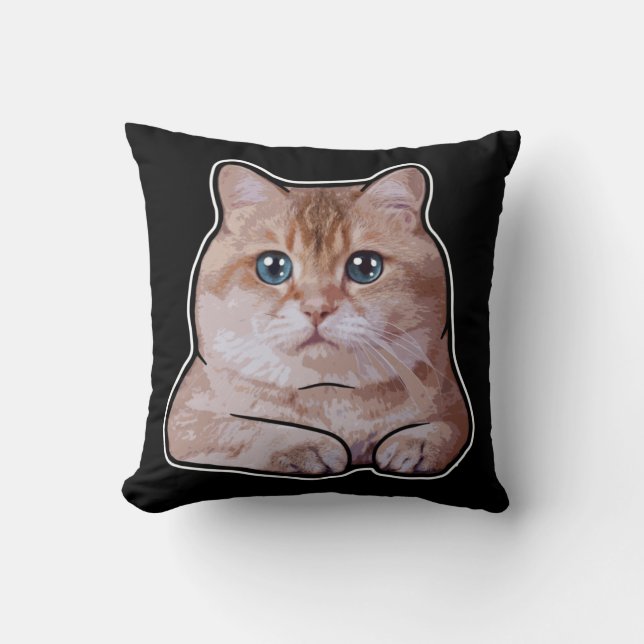 Hosico Cat Cushion (Front)