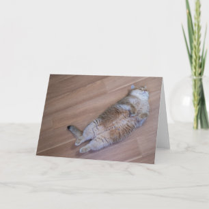 Hosico flies card