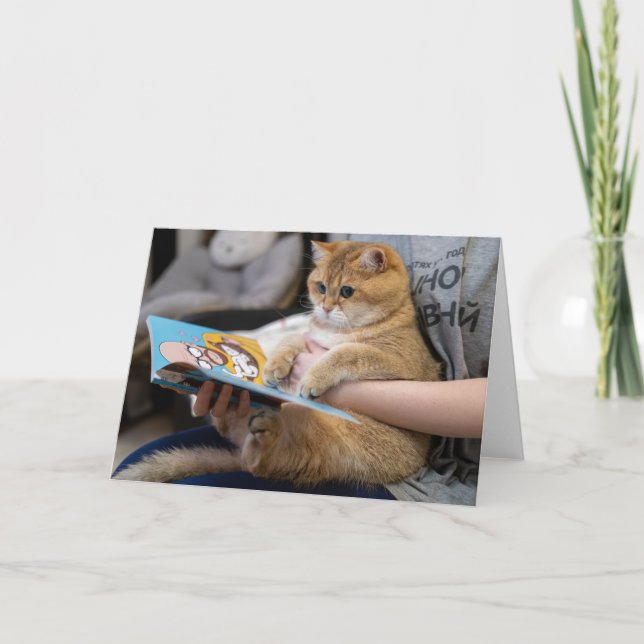 Hosico is reading a book card (Front)