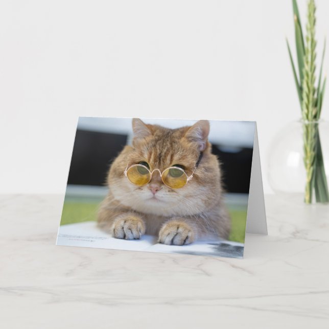 Hosico professor card (Front)