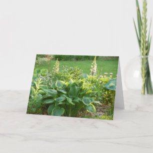Hosta Card
