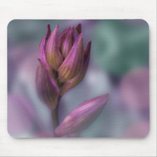 Hosta Flower Bud Purple And Green Mouse Pad