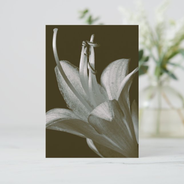 Hosta Flower Photography, Elegant Vintage Sepia (Standing Front)