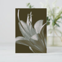 Hosta Flower Photography, Elegant Vintage Sepia