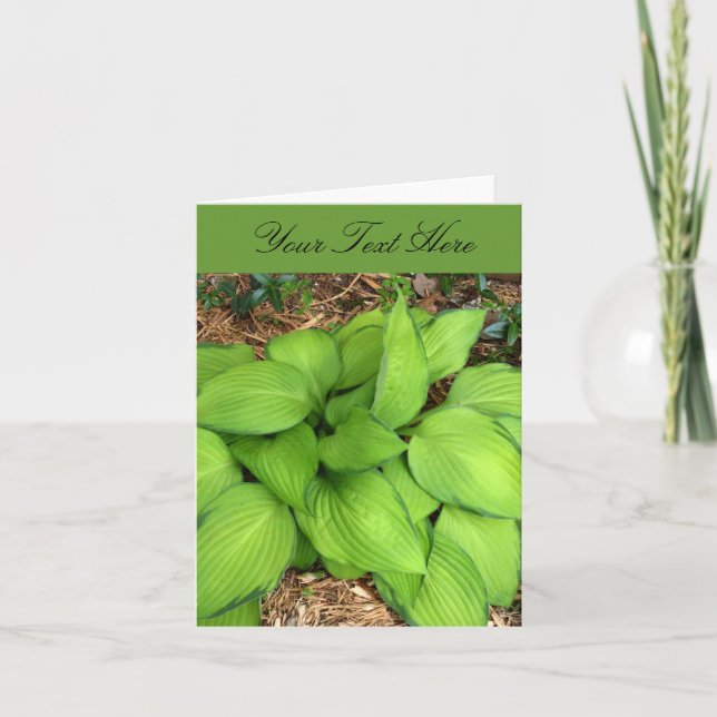 Hosta Green Leaves Greeting Card (Front)