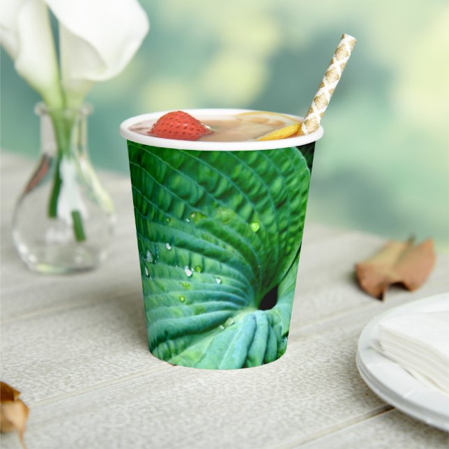 Hosta Heart Paper Cups (Insitu)
