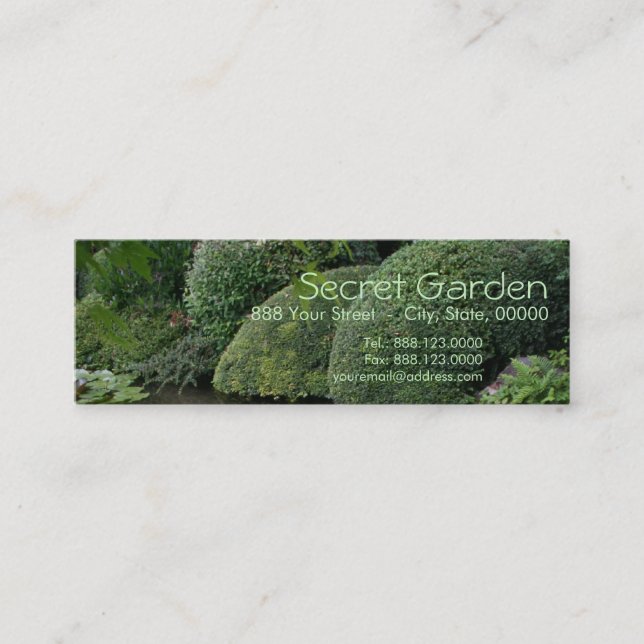Hosta in a Zen Garden 1 Mini Business Card (Front)