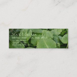 Hosta in a Zen Garden 2 Mini Business Card