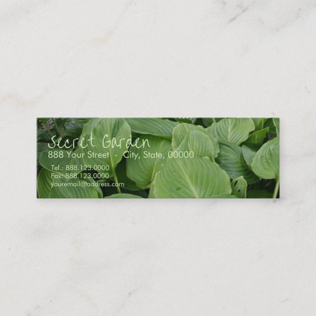 Hosta in a Zen Garden 2 Mini Business Card (Front)