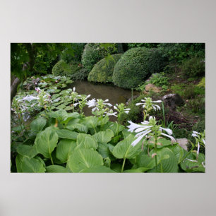 Hosta in a Zen Garden 2 Poster