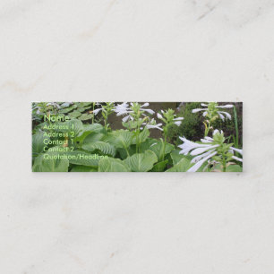 Hosta in a Zen Garden 3 Mini Business Card