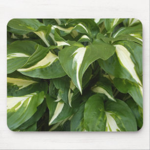 Hosta Leaves Mouse Pad