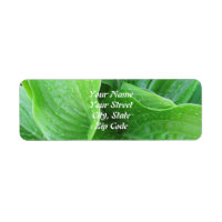 Hosta Leaves Return Address Labels