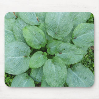 Hosta Mousepad