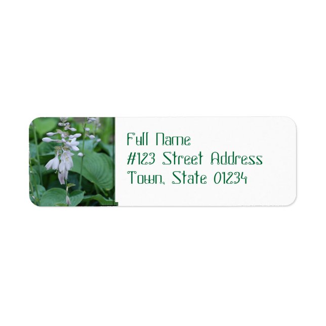 Hosta Plant Return Address Mailing Labels (Front)