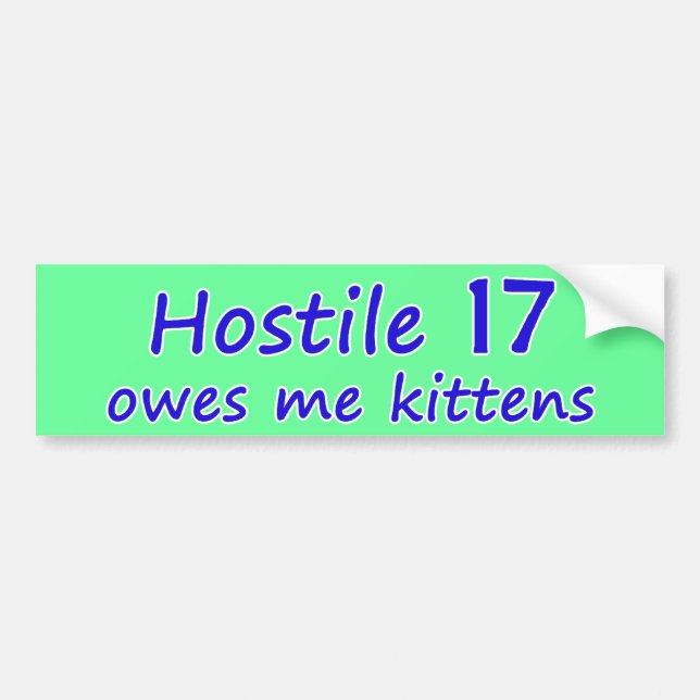 Hostile 17 Kittens Bumper Sticker (Front)