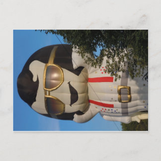 Hot air balloon in Binghamton, NY Postcard