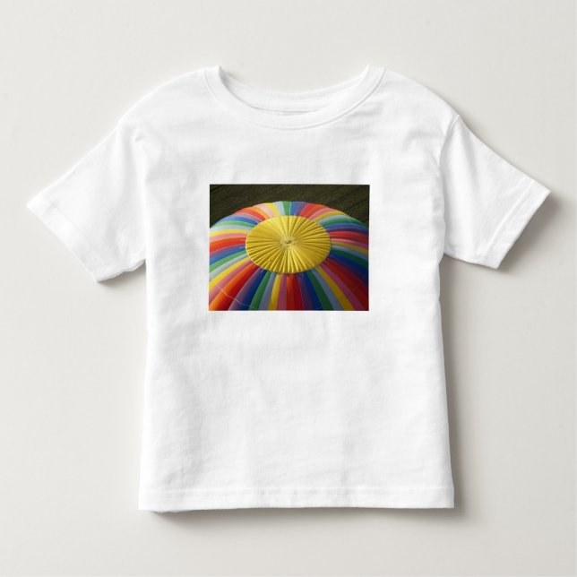 Hot-air Balloon, near Methven, Canterbury 2 Toddler T-Shirt (Front)