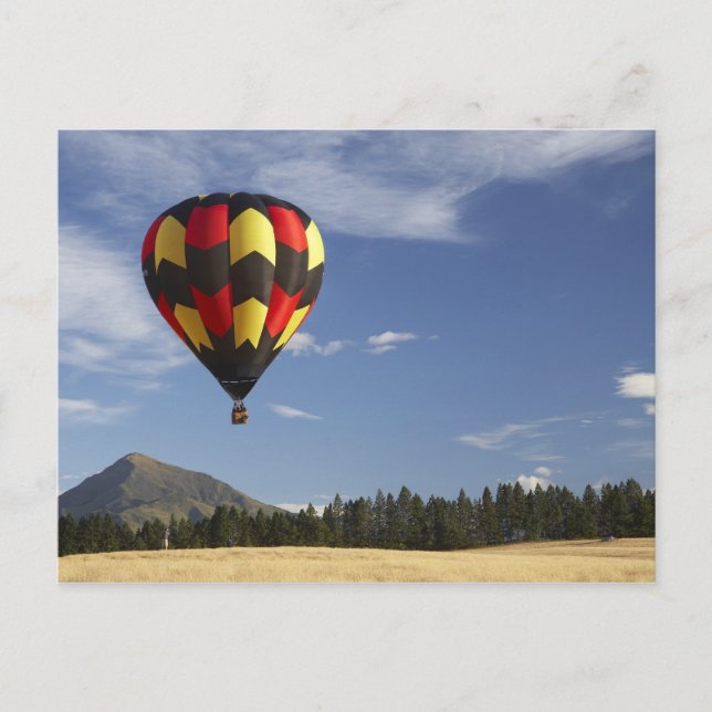 Hot Air Balloon near Wanaka, South Island, New Postcard (Front)