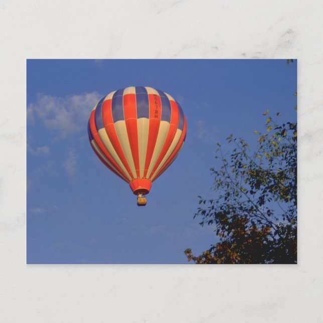 Hot Air Balloon  Red / Blue / Yellow Postcard (Front)