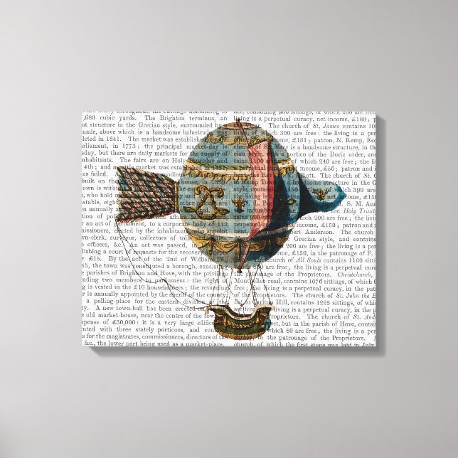 Hot Air Balloon With Tail Feather Canvas Print (Front)