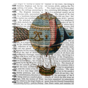 Hot Air Balloon With Tail Feather Notebook
