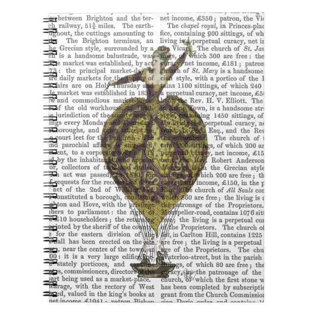 Hot Air Balloon Woman 1 Spiral Notebook (Front)