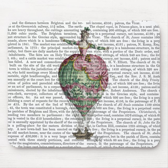 Hot Air Balloon Woman 2 Mouse Pad (Front)