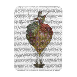 Hot Air Balloon Woman 3 Magnet