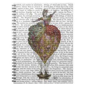 Hot Air Balloon Woman 3 Spiral Notebook