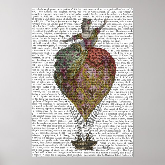 Hot Air Balloon Woman Poster (Front)