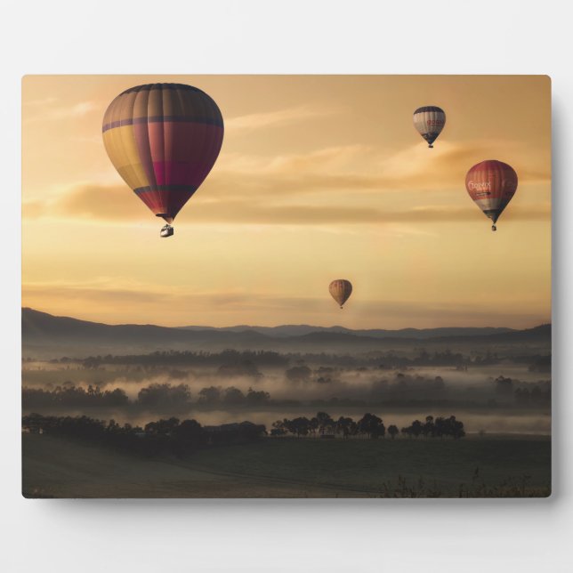 Hot air balloons plaque (Front)