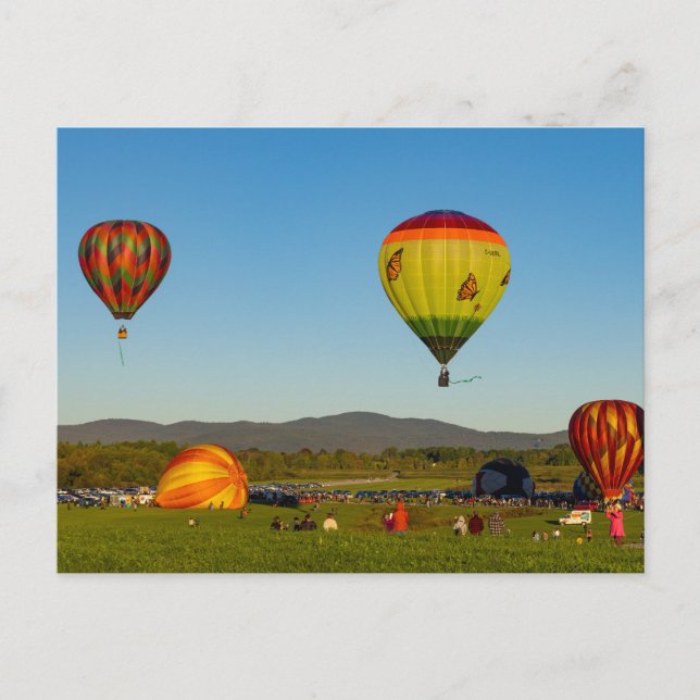 Hot Air Balloons Postcard (Front)
