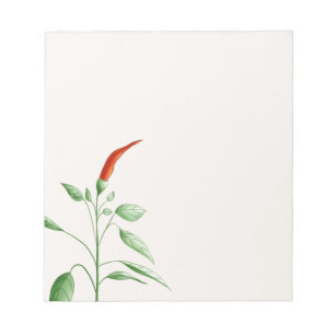 Hot Chilli Pepper Plant Botanical Illustration Notepad