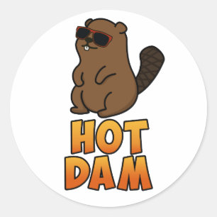 Hot Dam Funny Cool Beaver Pun Classic Round Sticker